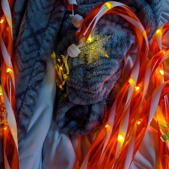 Festive Candy Cane String Lights Battery Operated 12 Pieces (EUC) - Picture 13 of 15